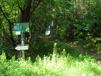 East Hill Conservation area, trail markers, GMHA trails