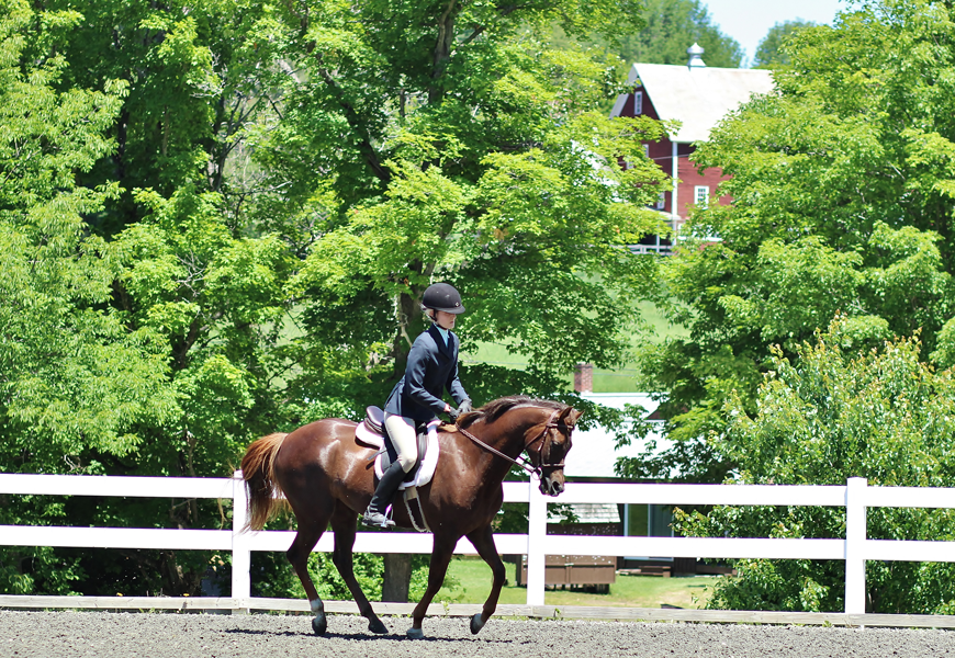 About Us Green Mountain Horse Association, Vermont