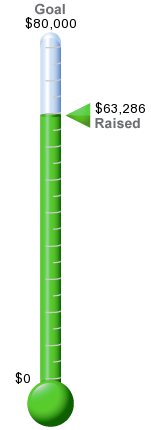 2016-annual-fund-thermometer