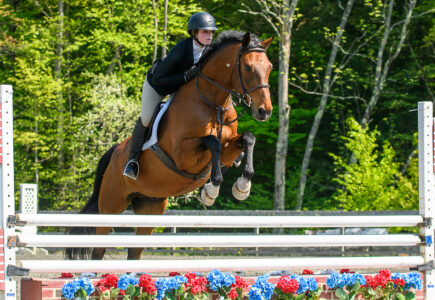 Bay Equitation