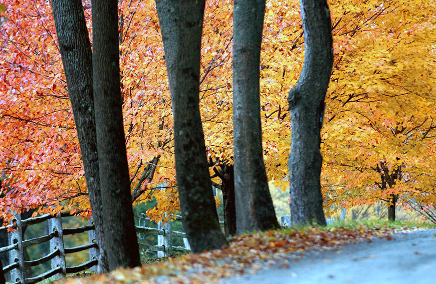 2017-trail-use-policy-1