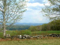 Stunning view from LJ's Trail