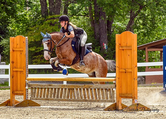 Riders enjoying GMHA trails